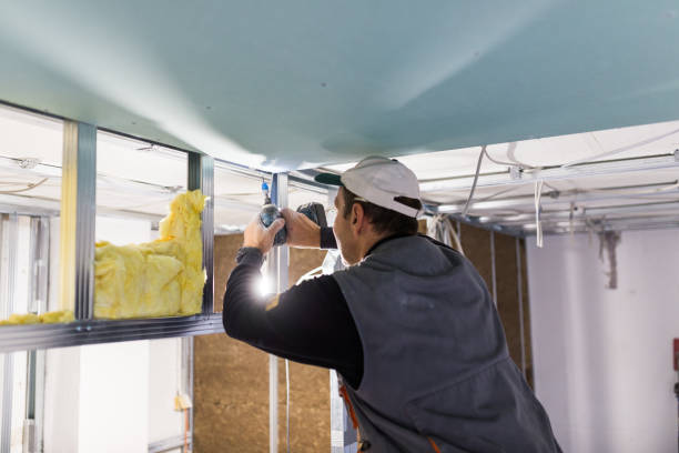 Best Insulation Materials and Products in Priceville, AL