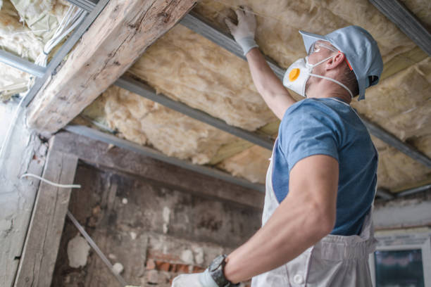 Best Insulation for Specific Applications in Priceville, AL